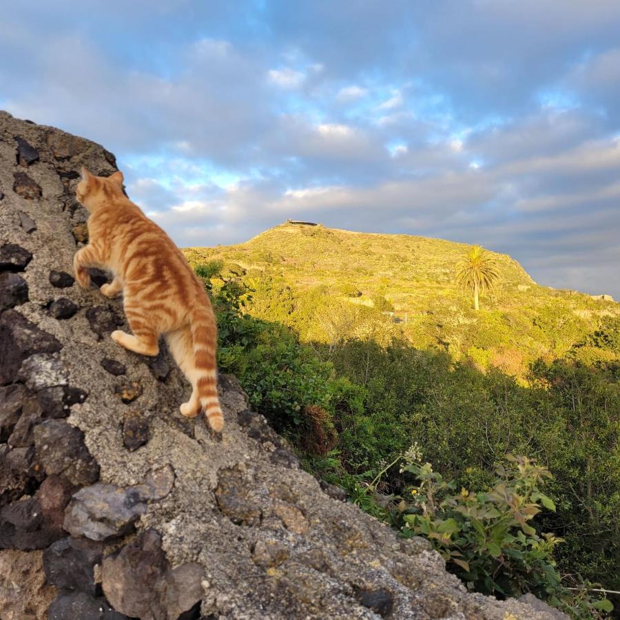 Finca El Lance El Tanque Εξωτερικό φωτογραφία
